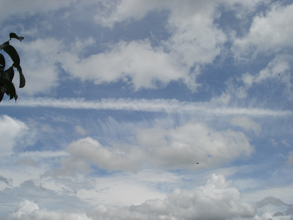 DSC04138c.jpg