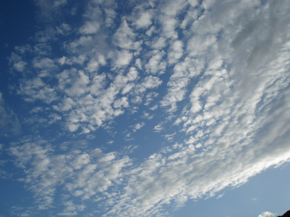 DSC04147c.jpg