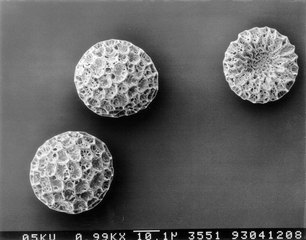 �����ϰ� �� ����� �λ����� ȭ��